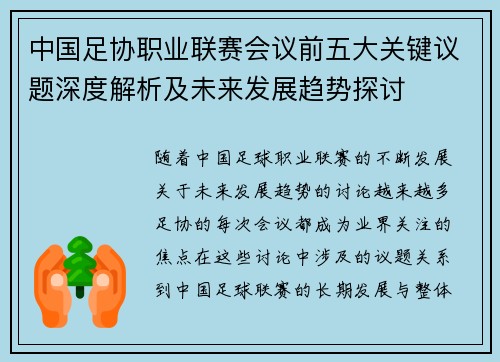 中国足协职业联赛会议前五大关键议题深度解析及未来发展趋势探讨