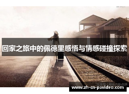 回家之旅中的佩德里感悟与情感碰撞探索