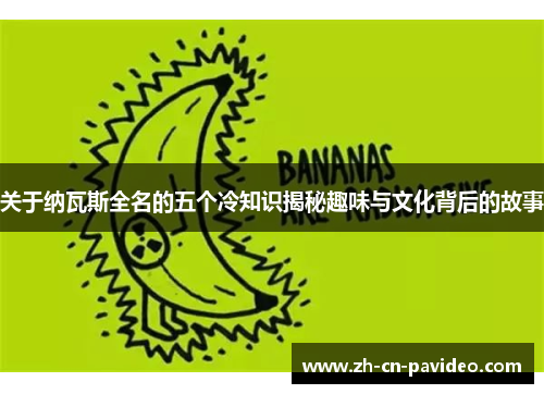 关于纳瓦斯全名的五个冷知识揭秘趣味与文化背后的故事