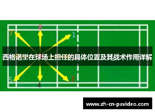 西格诺里在球场上担任的具体位置及其战术作用详解