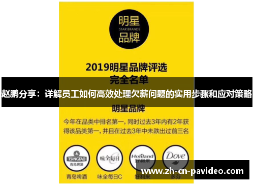 赵鹏分享：详解员工如何高效处理欠薪问题的实用步骤和应对策略