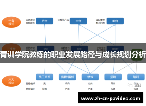青训学院教练的职业发展路径与成长规划分析